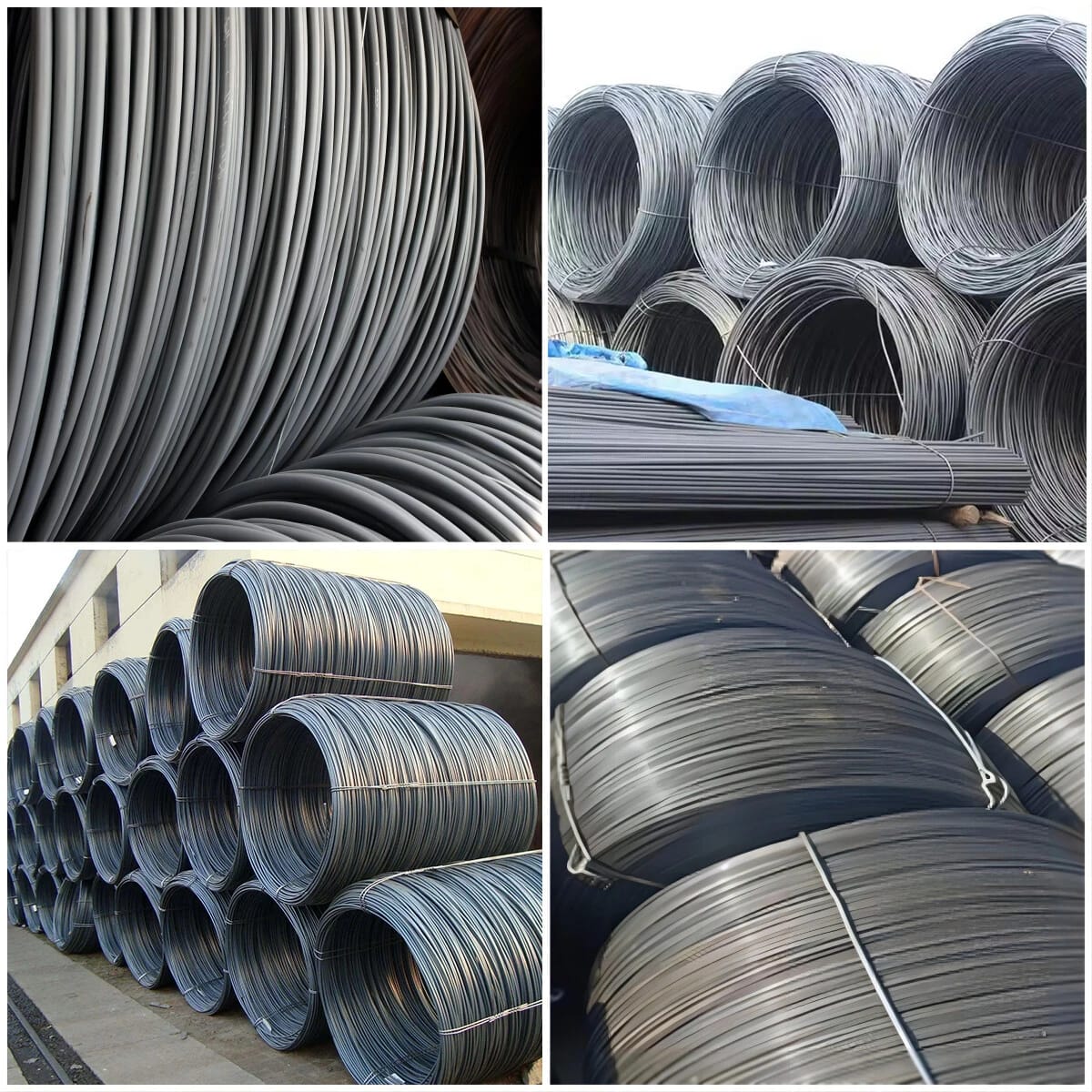 Steel wire rod coils